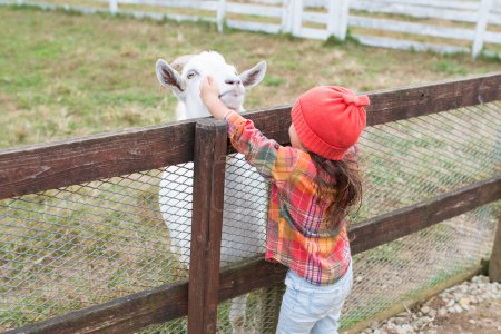 Téléchargez les photos : Fille jouer avec la chèvre - en image libre de droit