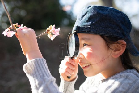 Foto de Un niño mirando flores de cerezo con una lupa - Imagen libre de derechos