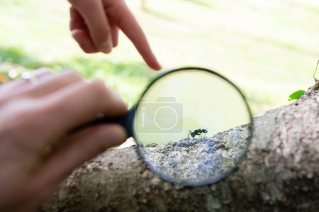 Parent and child observing ants with a magnifying glass