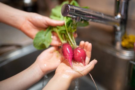 Parent and child hands washing radishes