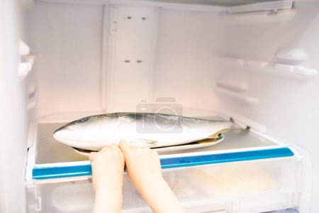 Téléchargez les photos : Les mains essayant de sortir le poisson dans le réfrigérateur - en image libre de droit
