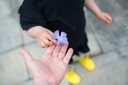 Téléchargez les photos : Parent-enfant remettant une fleur bleue - en image libre de droit