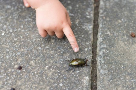 Foto de La mano del niño que el escarabajo señala - Imagen libre de derechos