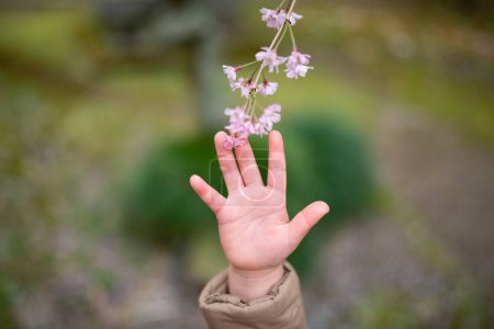 Photo for Child's hand trying to touch the flowers - Royalty Free Image