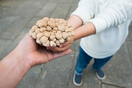 Téléchargez les photos : Parent et enfant pour passer un champignon - en image libre de droit