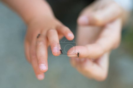 Photo for Ants walking on hands - Royalty Free Image