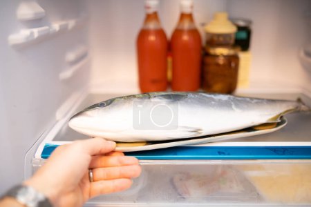 Téléchargez les photos : Main essayant de sortir le poisson dans le réfrigérateur - en image libre de droit