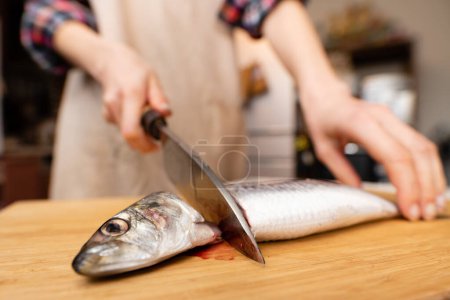 Photo for Female hand cutting the head of a sardine - Royalty Free Image