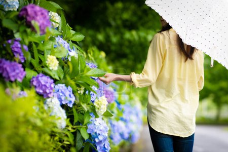 Photo for Rear view of a woman touching hydrangea flowers - Royalty Free Image