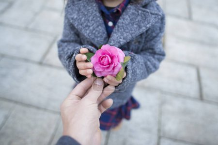 Téléchargez les photos : Mains avec une fleur rose - en image libre de droit