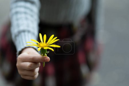 Téléchargez les photos : Fille présentant une fleur jaune - en image libre de droit