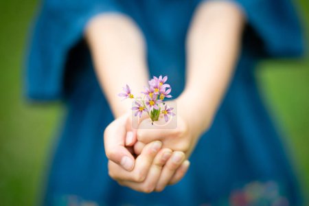 Téléchargez les photos : Enfant tenant une petite fleur - en image libre de droit