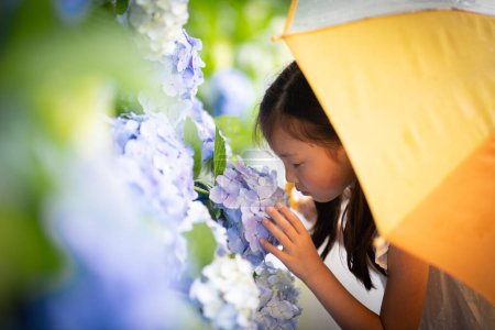 Téléchargez les photos : Fille renifler l'odeur des fleurs d'hortensia - en image libre de droit