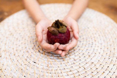 Photo for Child holding mangosteen in hand - Royalty Free Image