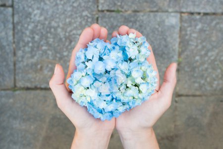 Photo for Hand with hydrangea flowers - Royalty Free Image