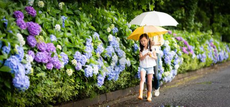 Photo for Mother and daughter walking together on the hydrangea road - Royalty Free Image