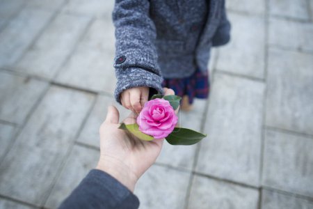 Photo for Hands with a pink flower - Royalty Free Image