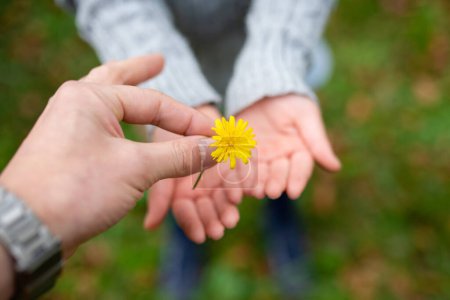Parent et enfant remettant fleur jaune 