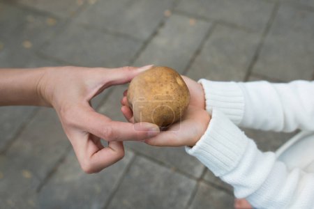 Téléchargez les photos : Parent et enfant pour passer la pomme de terre - en image libre de droit