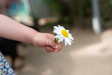 Hand eines Kindes überreicht eine Blume