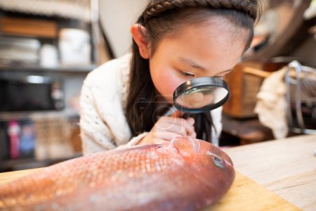 Téléchargez les photos : Fille observant des poissons avec une loupe - en image libre de droit