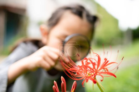 Téléchargez les photos : Fille regardant amaryllis cluster avec une loupe - en image libre de droit