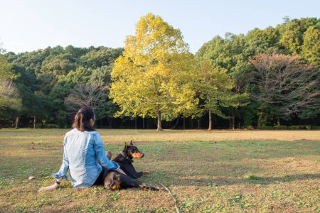 Téléchargez les photos : Femme avec chien dans le parc - en image libre de droit