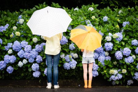Téléchargez les photos : Mère et fille avec des parapluies près des fleurs d'hortensia - en image libre de droit