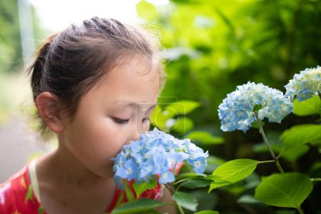 Photo for Girl smelling the scent of hydrangea - Royalty Free Image