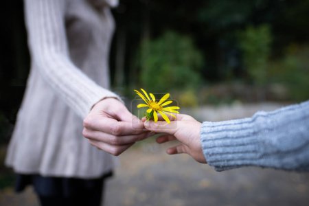 Foto de Madre e hijo entregando flor amarilla - Imagen libre de derechos
