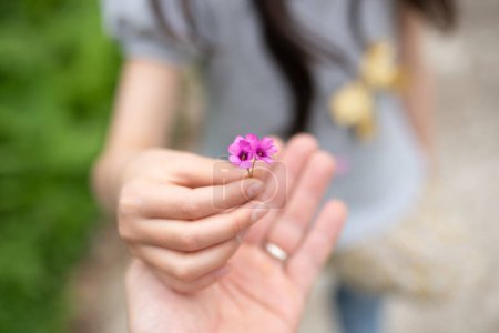 Téléchargez les photos : Mains de parents et d'enfants distribuant des petites fleurs - en image libre de droit