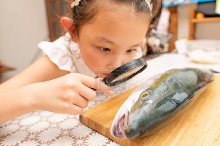 Téléchargez les photos : Fille observant des poissons avec loupe - en image libre de droit