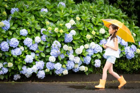 Photo for Girl with umbrella near hydrangea flowers - Royalty Free Image