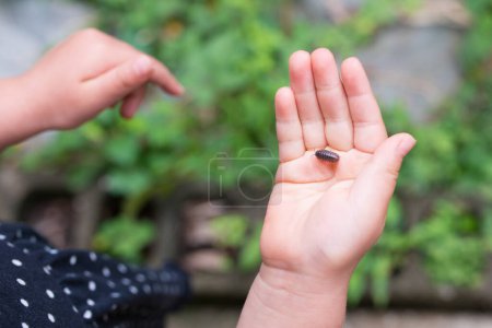Foto de Insecto de la píldora en la palma del niño - Imagen libre de derechos
