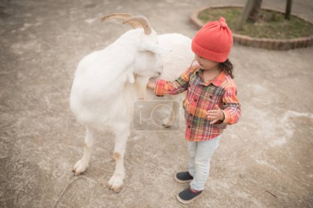 Téléchargez les photos : Fille jouer avec la chèvre - en image libre de droit