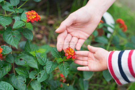 Mother and daughter touching the Lantana flowers
