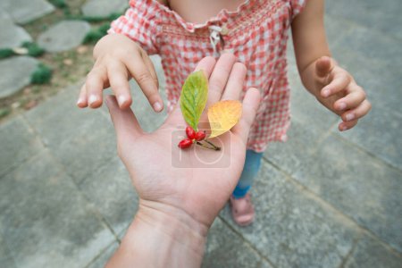 Photo for Parent and child handing a red fruit - Royalty Free Image