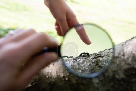 Parent and child observing ants with a magnifying glass 
