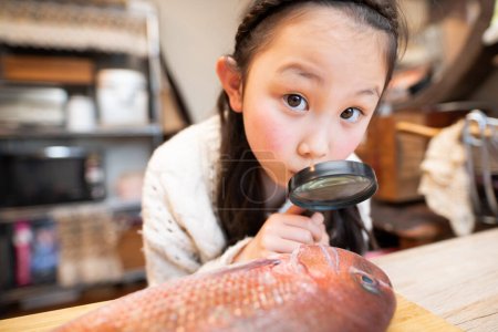 Téléchargez les photos : Fille observant des poissons avec une loupe - en image libre de droit