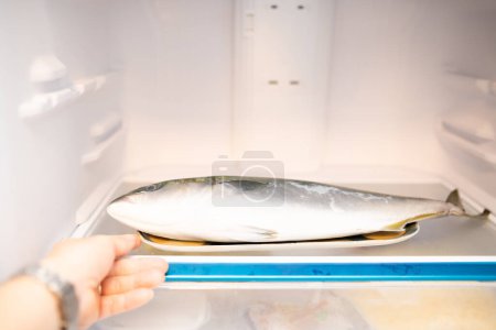 Photo for Hand trying to take out the fish in the refrigerator - Royalty Free Image