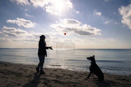 Téléchargez les photos : Femme qui joue avec Doberman au bord de la mer - en image libre de droit