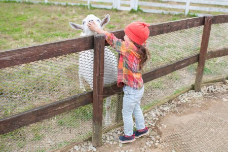 Photo for Girl playing with goat - Royalty Free Image