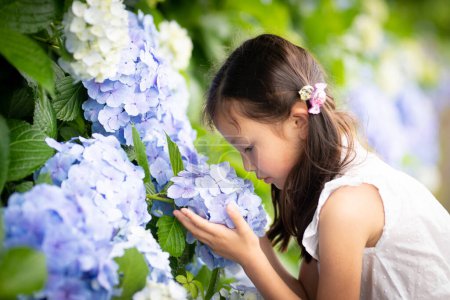 Photo for Girl sniffing the scent of hydrangea flowers - Royalty Free Image