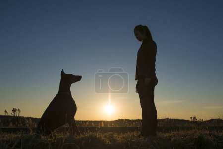 Téléchargez les photos : Femme face au Doberman au coucher du soleil - en image libre de droit