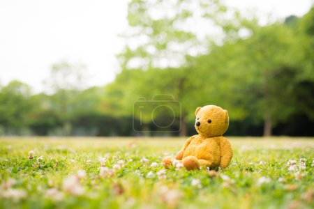 Foto de Osito de peluche sentado en la hierba - Imagen libre de derechos
