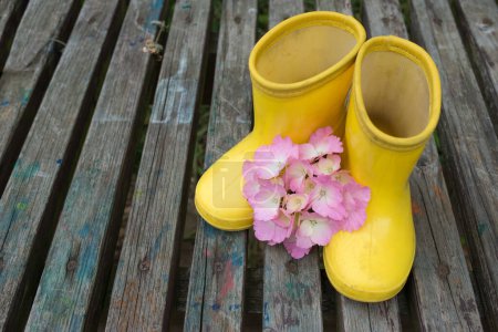 Foto de Hortensias y botas de madera - Imagen libre de derechos