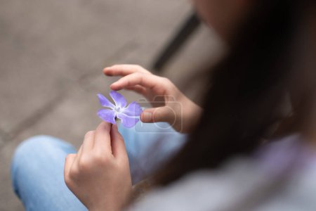 Photo for Girl holding a violet in her hands - Royalty Free Image