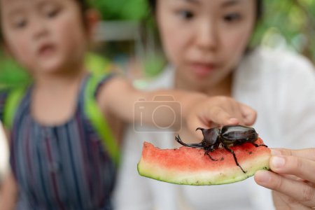 Photo for Mother and daughter observing beetle - Royalty Free Image