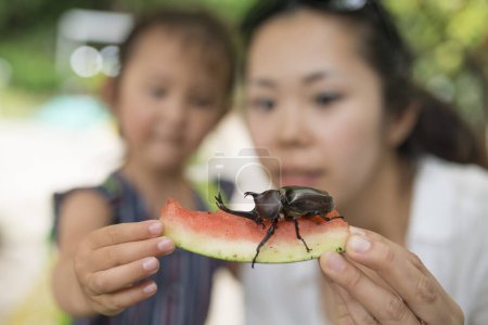 Téléchargez les photos : Mère et enfant pour observer le scarabée - en image libre de droit