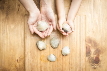 Photo for Hands holding sea shells on a wooden table - Royalty Free Image